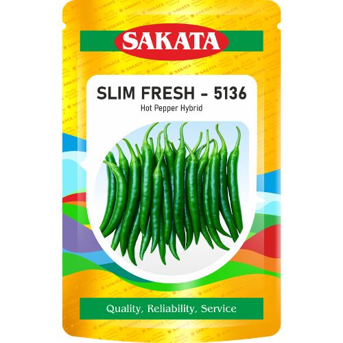 F1 Slim Fresh 5136