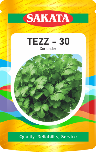 Tez 30