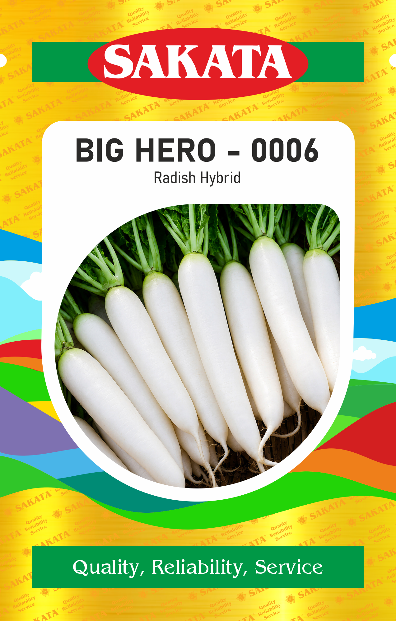 F1 BIG HERO - 0006