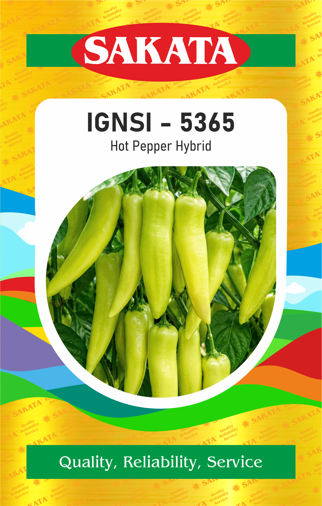 F1 IGNSI - 5365