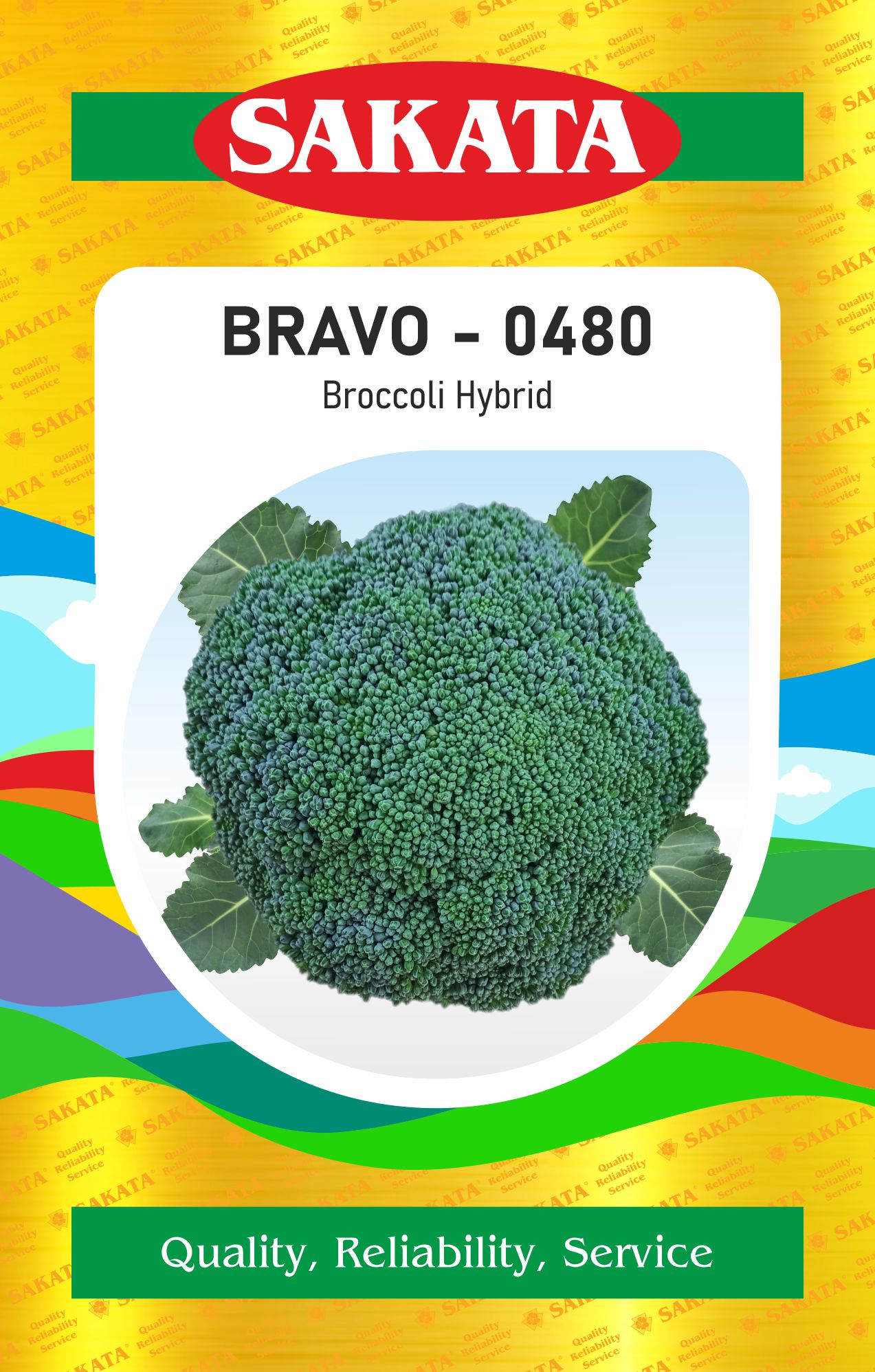 F1 BRAVO - 0480