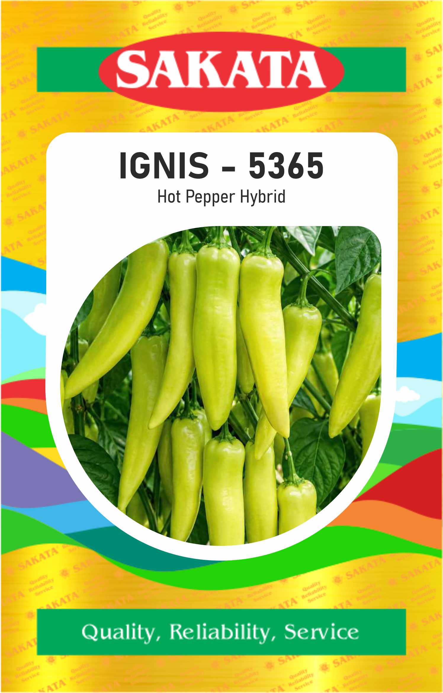 F1 IGNIS - 5365