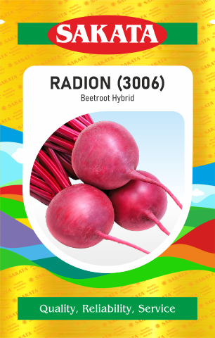 F1 RAIDON (3006)