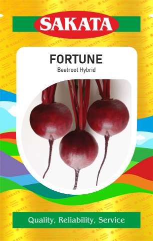 F1 FORTUNE