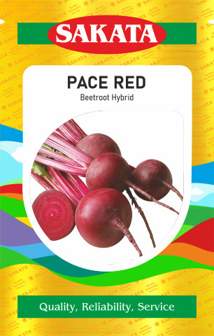 F1 PACE RED