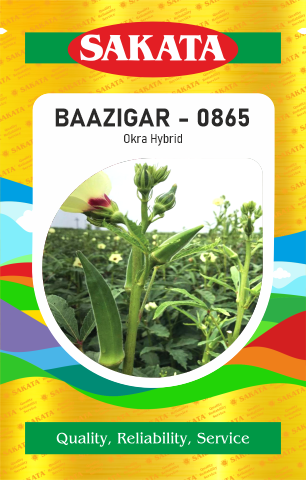 F1 BAAZIGAR - 0865