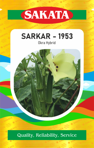 F1 SARKAR - 1953