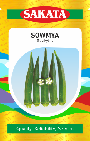 F1 SOWMYA