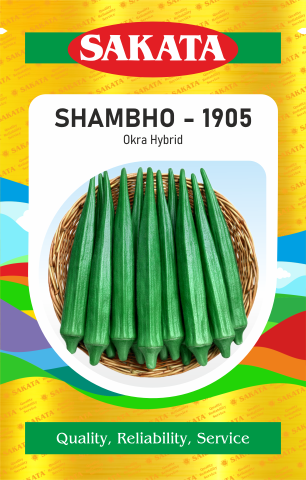 F1 SHAMBHO - 1905