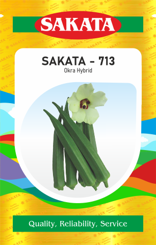 F1 SAKATA - 713