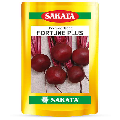 F1 Fortune Plus