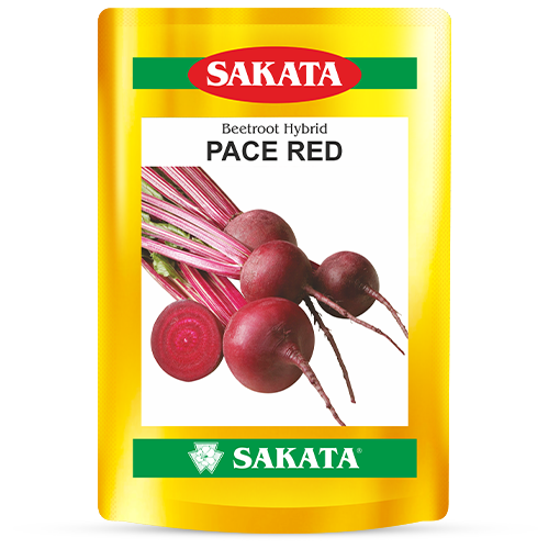 F1 Pace Red