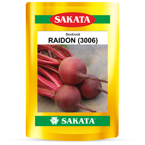 F1 Raidon 3006