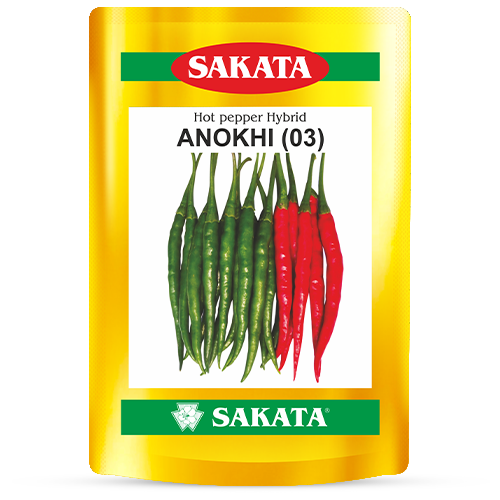 F1 Anokhi