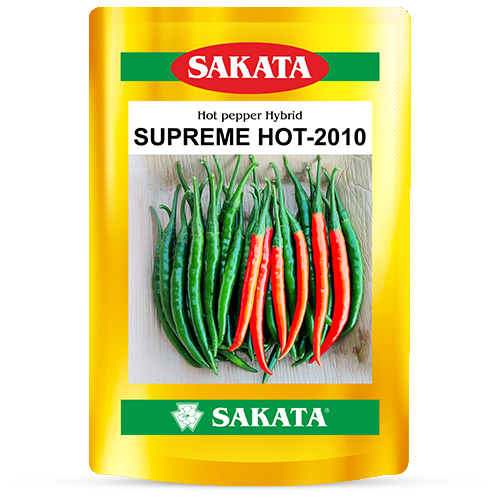 F1 Supreme Hot