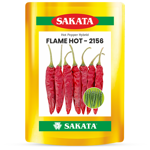 F1 Flame Hot 2156