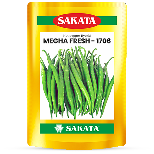 F1 Mega Fresh 1706