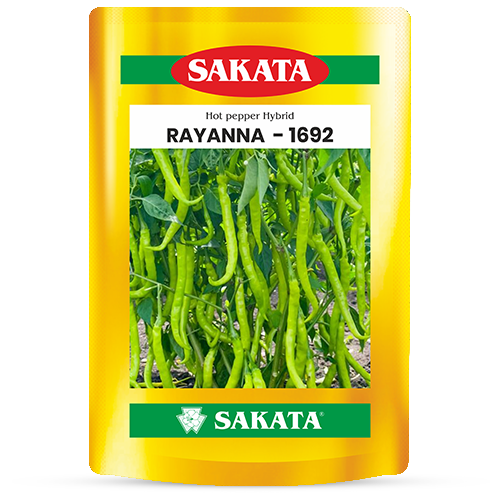 F1 Rayanna 1692