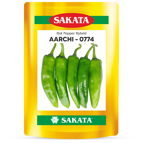 F1 Aarchi 0774