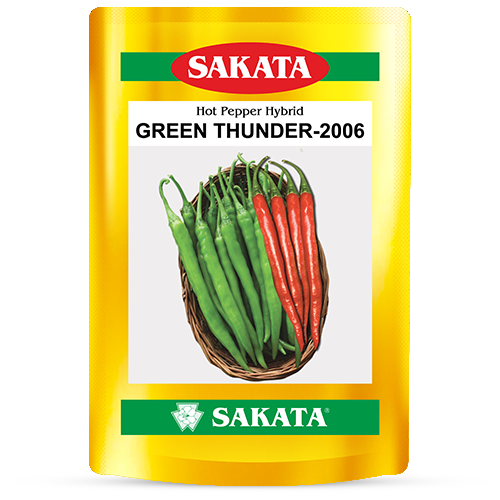 F1 Green Thunder 2006