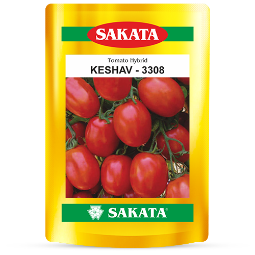 F1 Keshav 3308