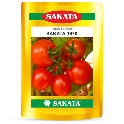 F1 Sakata 1670
