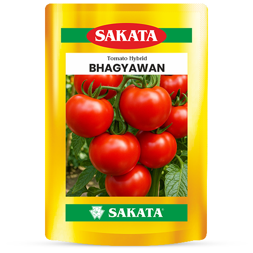 F1 Bhagyawan 1038