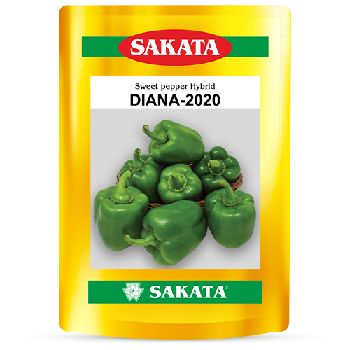 F1 DIANA 2020