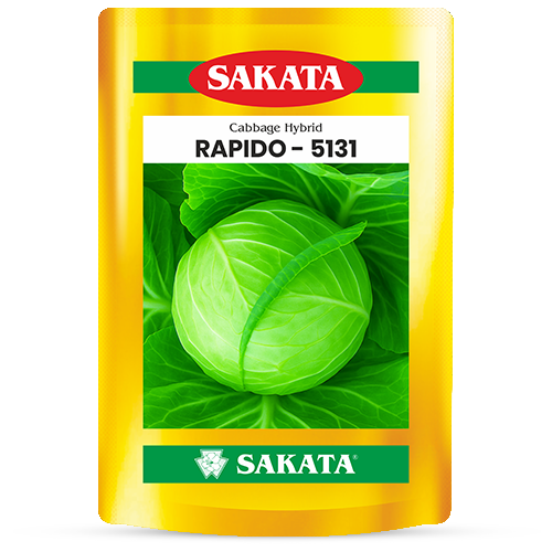 F1 Rapido 5131