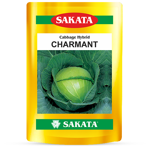 F1 Charmant
