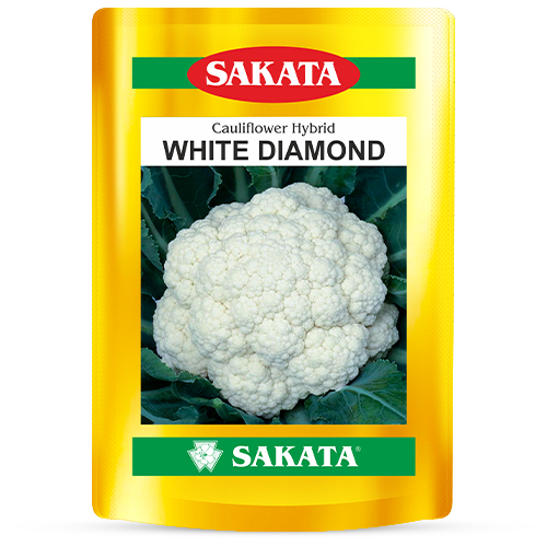 F1 White Diamond