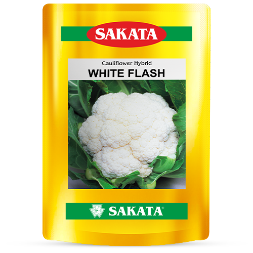 F1 White Flash