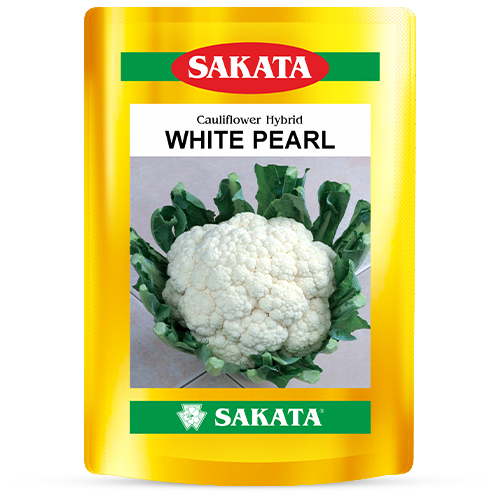 F1 White Pearl