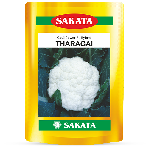 F1 Tharagai