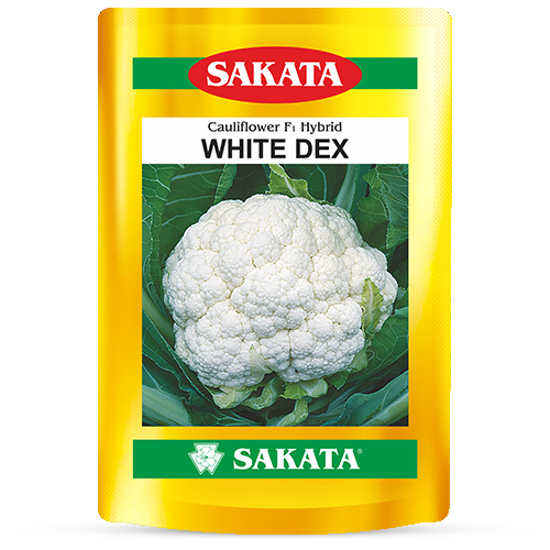 F1 White Dex