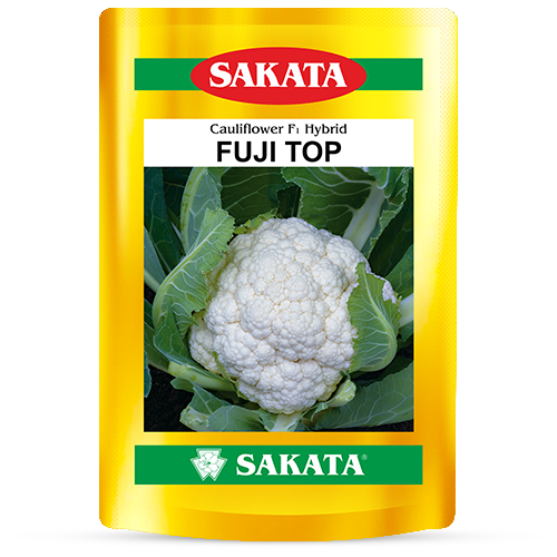 F1 Fujitop