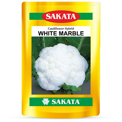 F1 White Marble