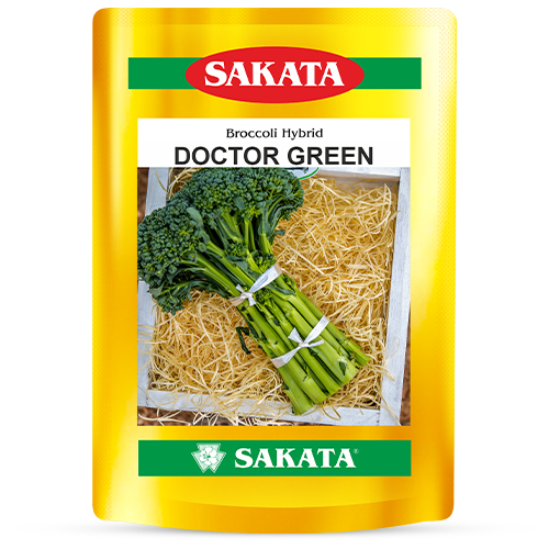 F1 Doctor Green