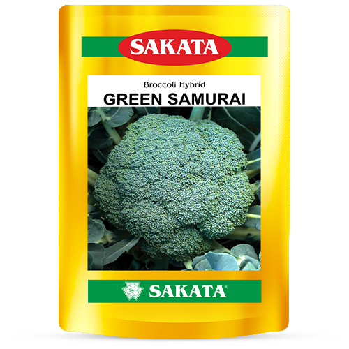 F1 Green Samurai