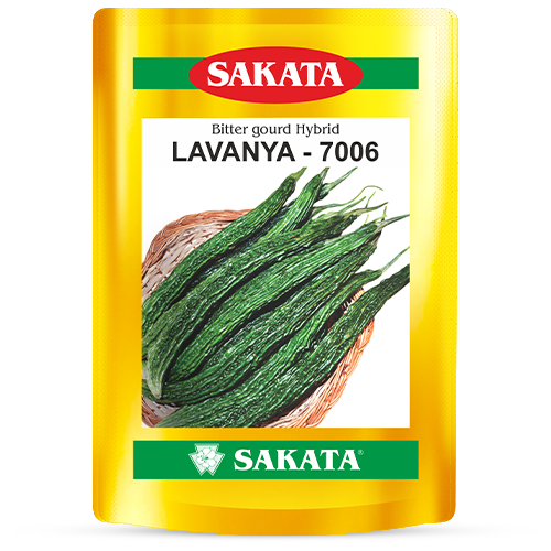 F1 Lavanya 7006