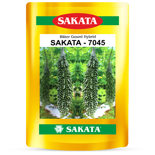 F1 Sakata 7045