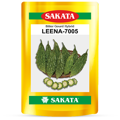 F1 Leena 7005