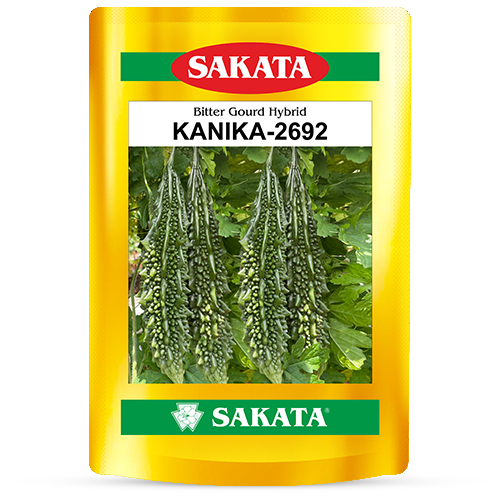 F1 Kanika 2692