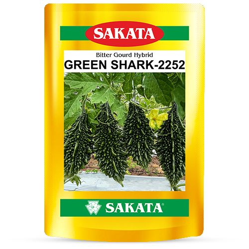 F1 Green Shark 2252