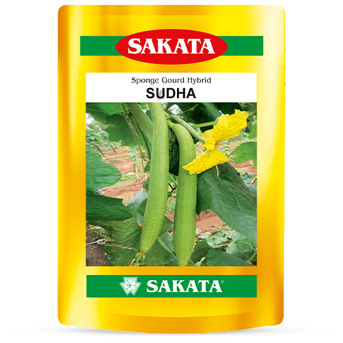 F1 Sudha