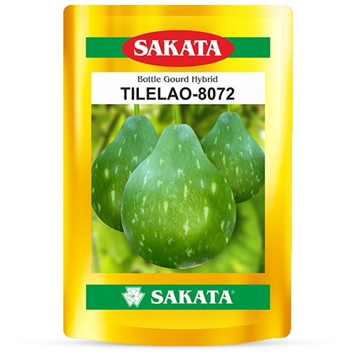 F1 Tilelao 8072