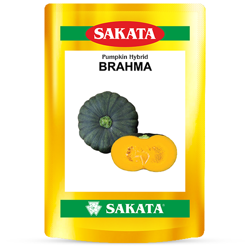 F1 Brahma