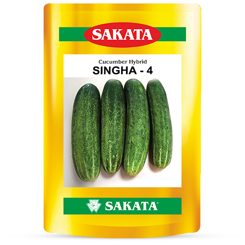F1 Singha 4