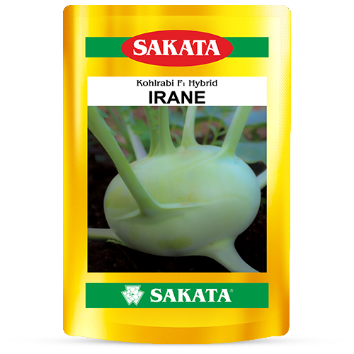F1 Irane