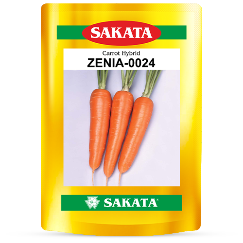 F1 Zenia 024